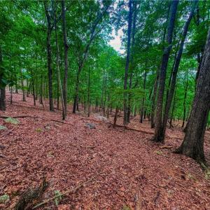Photo #14 of 1996 Sierra Trace, Denton, NC 4.1 acres