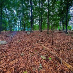 Photo #15 of 1996 Sierra Trace, Denton, NC 4.1 acres