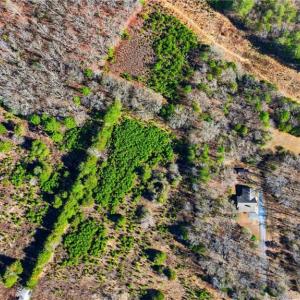 Photo #6 of 8015 US Highway 64, Thomasville, NC 44.6 acres