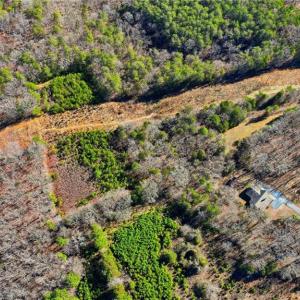 Photo #5 of 8015 US Highway 64, Thomasville, NC 44.6 acres