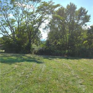Photo #17 of 1324 Hardie Mabe, Danbury, NC 50.5 acres