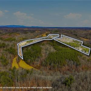 Photo #3 of 1324 Hardie Mabe, Danbury, NC 50.5 acres