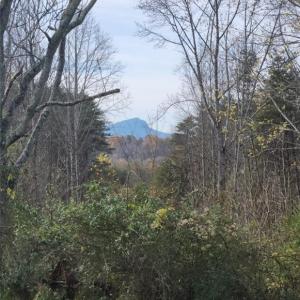 Photo #24 of 1324 Hardie Mabe, Danbury, NC 50.5 acres