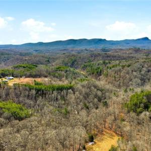 Photo #10 of 1324 Hardie Mabe, Danbury, NC 50.5 acres