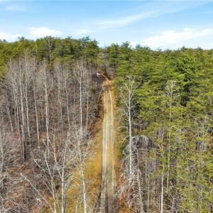 Photo #11 of 1324 Hardie Mabe, Danbury, NC 50.5 acres