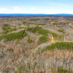 Photo #4 of 1324 Hardie Mabe, Danbury, NC 50.5 acres