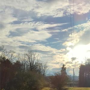 Photo #21 of 1324 Hardie Mabe, Danbury, NC 50.5 acres