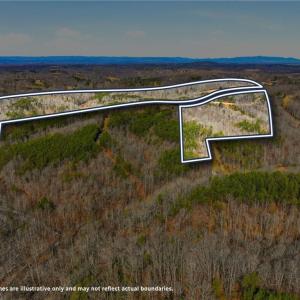 Photo #2 of 1324 Hardie Mabe, Danbury, NC 50.5 acres