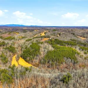 Photo #5 of 1324 Hardie Mabe, Danbury, NC 50.5 acres