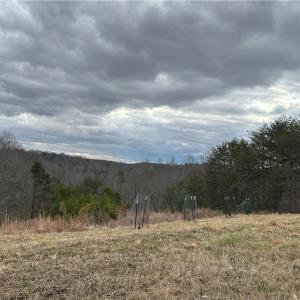 Photo #38 of 1324 Hardie Mabe, Danbury, NC 50.5 acres