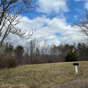Photo #37 of 1324 Hardie Mabe, Danbury, NC 50.5 acres