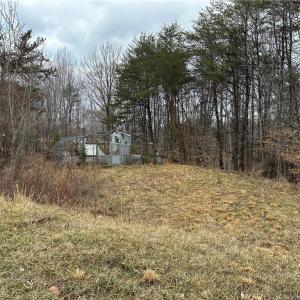 Photo #40 of 1324 Hardie Mabe, Danbury, NC 50.5 acres