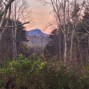 Photo #25 of 1324 Hardie Mabe, Danbury, NC 50.5 acres