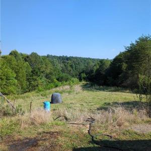 Photo #17 of 1324 Hardie Mabe, Danbury, NC 50.5 acres