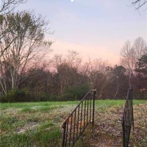 Photo #25 of 1324 Hardie Mabe, Danbury, NC 50.5 acres