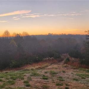 Photo #1 of 1324 Hardie Mabe, Danbury, NC 50.5 acres