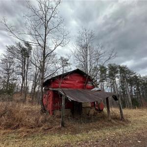 Photo #30 of 1324 Hardie Mabe, Danbury, NC 50.5 acres