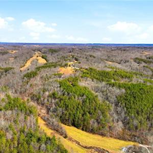 Photo #10 of 1324 Hardie Mabe, Danbury, NC 50.5 acres