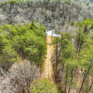 Photo #14 of 1324 Hardie Mabe, Danbury, NC 50.5 acres