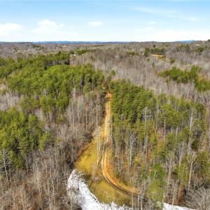 Photo #15 of 1324 Hardie Mabe, Danbury, NC 50.5 acres