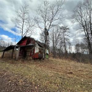 Photo #31 of 1324 Hardie Mabe, Danbury, NC 50.5 acres