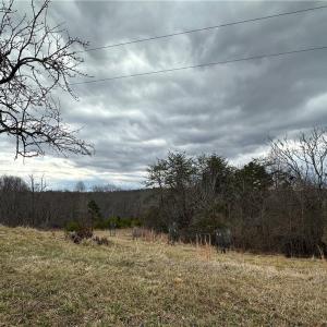 Photo #39 of 1324 Hardie Mabe, Danbury, NC 50.5 acres