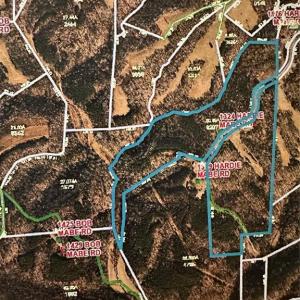 Photo #29 of 1324 Hardie Mabe, Danbury, NC 50.5 acres