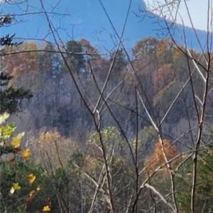 Photo #23 of 1324 Hardie Mabe, Danbury, NC 50.5 acres