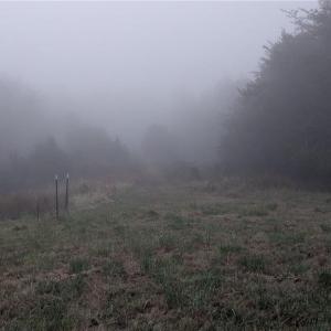 Photo #27 of 1324 Hardie Mabe, Danbury, NC 50.5 acres