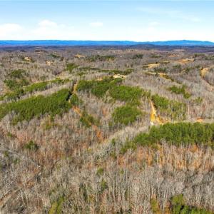 Photo #6 of 1324 Hardie Mabe, Danbury, NC 50.5 acres