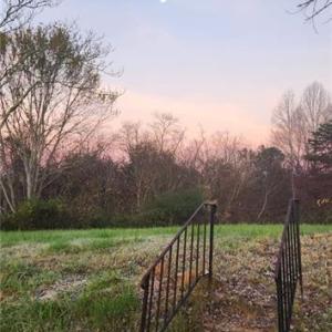 Photo #26 of 1324 Hardie Mabe, Danbury, NC 50.5 acres