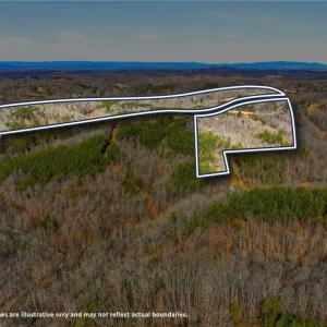 Photo #3 of 1324 Hardie Mabe, Danbury, NC 50.5 acres