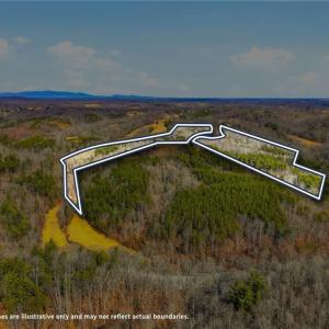 Photo #5 of 1324 Hardie Mabe, Danbury, NC 50.5 acres