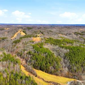 Photo #10 of 1324 Hardie Mabe, Danbury, NC 50.5 acres