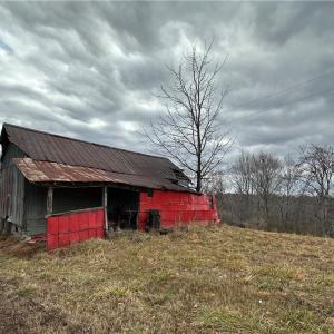 Photo #33 of 1324 Hardie Mabe, Danbury, NC 50.5 acres