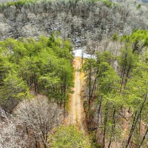 Photo #14 of 1324 Hardie Mabe, Danbury, NC 50.5 acres