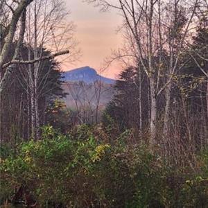 Photo #25 of 1324 Hardie Mabe, Danbury, NC 50.5 acres