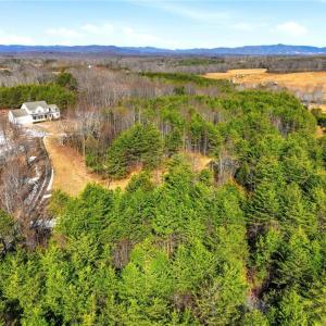 Photo #9 of Nc Highway 704, Lawsonville, NC 13.3 acres