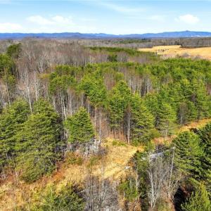 Photo #8 of Nc Highway 704, Lawsonville, NC 13.3 acres