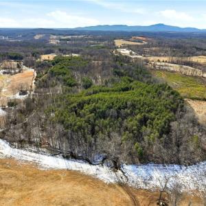 Photo #5 of Nc Highway 704, Lawsonville, NC 13.3 acres