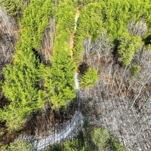 Photo #11 of Nc Highway 704, Lawsonville, NC 13.3 acres