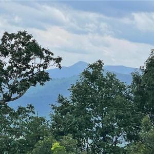 Photo #6 of 430 reflections point, Fancy Gap, VA 1.2 acres