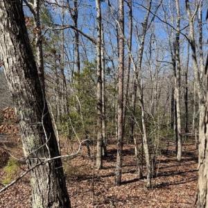 Photo #3 of Thayer, Troy, NC 4.4 acres