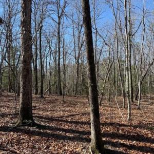 Photo #1 of Thayer, Troy, NC 4.4 acres