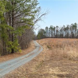 Photo #16 of Wellhouse, Walnut Cove, NC 12.6 acres