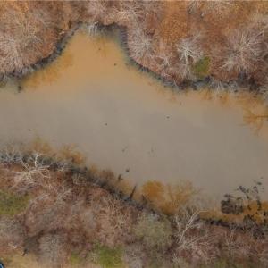 Photo #10 of Wellhouse, Walnut Cove, NC 12.6 acres