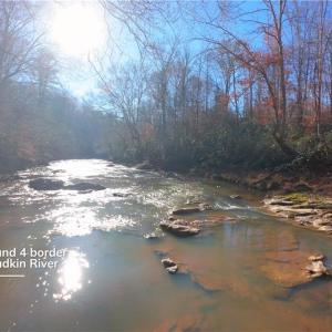 Photo #14 of 3 Roby Fulk, Pinnacle, NC 10.1 acres