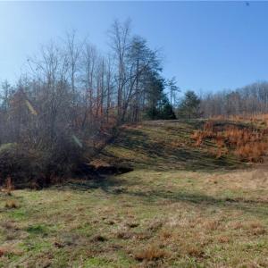 Photo #18 of 3 Roby Fulk, Pinnacle, NC 10.1 acres