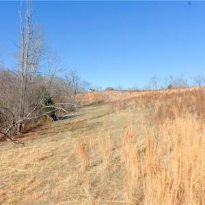 Photo #17 of 3 Roby Fulk, Pinnacle, NC 10.1 acres