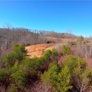 Photo #12 of 3 Roby Fulk, Pinnacle, NC 10.1 acres